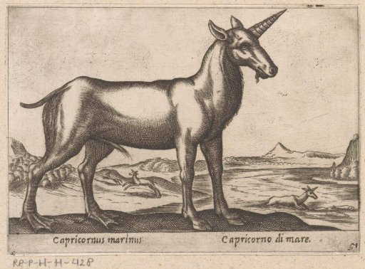 Steenbok as a Sea Creature