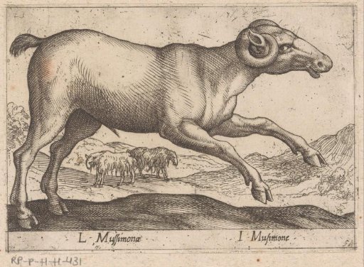 Goat-like Creature
