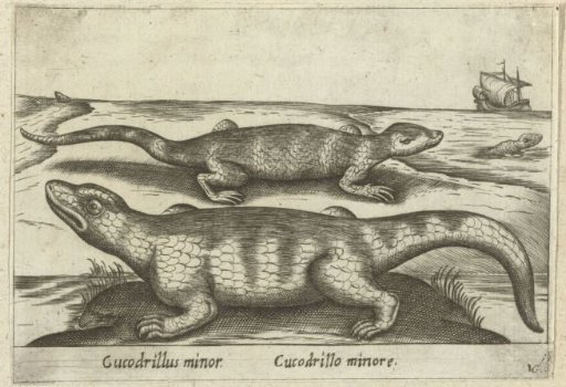 Small Crocodiles
