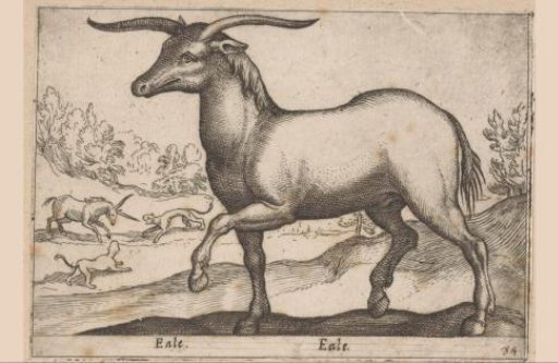 Horse with Horns