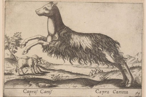 Creature Half Dog and Half Goat