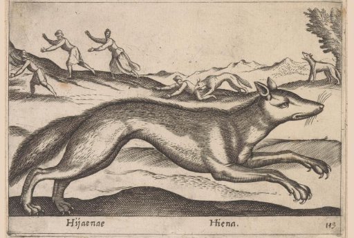 Hyena