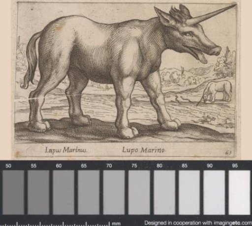 Wolf with a horn