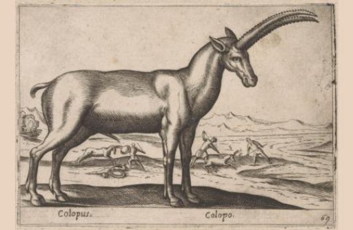 Goat-like