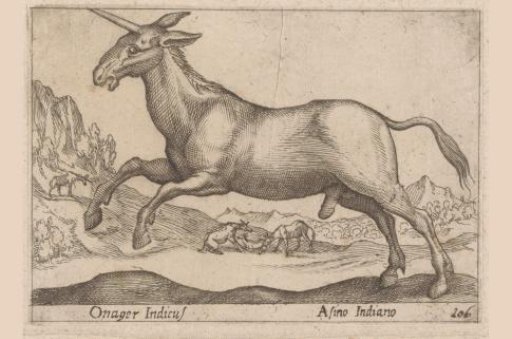 Horned Donkey