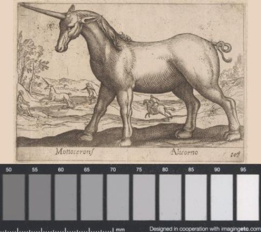 Unicorn