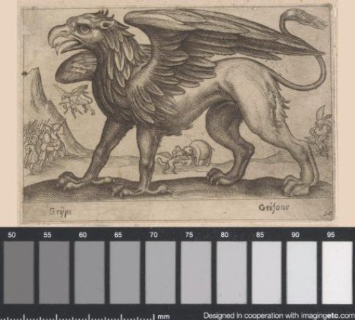 Griffin