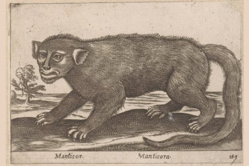 Manticore