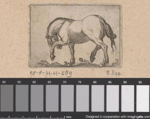 Climbing horse turned to the left
