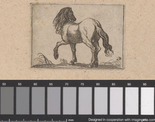 Climbing horse seen from behind