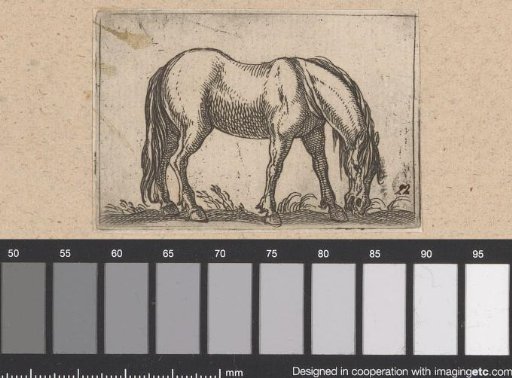 Grazing horse turned to the right