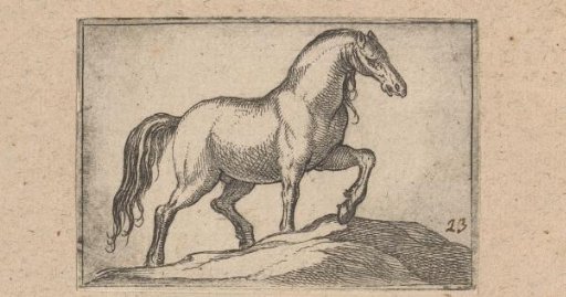 Horse climbing a hill turned to the right