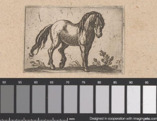 Standing horse turned to the right