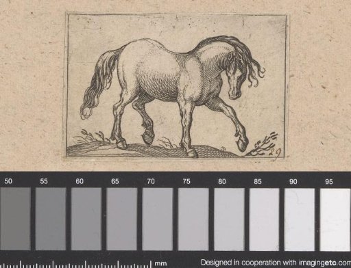 Horse walking to the right