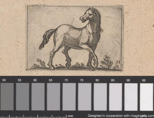 Horse walking to the right