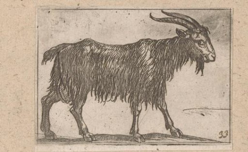 Standing goat