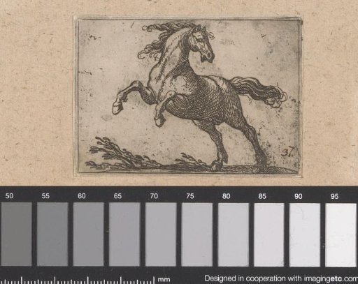 Rearing horse turned to the left