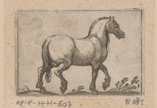 Horse walking to the right
