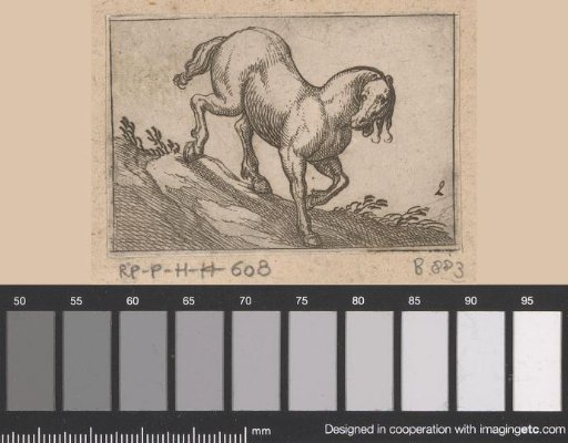 Horse descending a slope