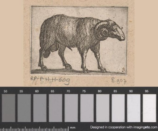 Standing ram