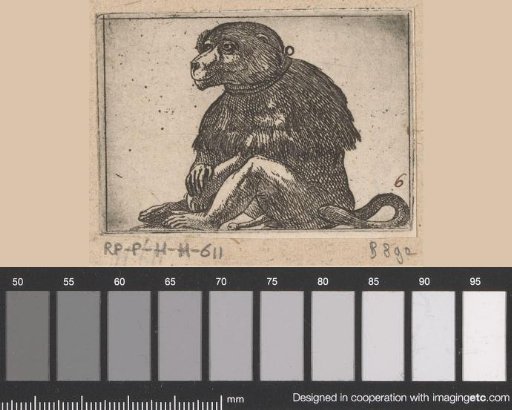 Sitting monkey