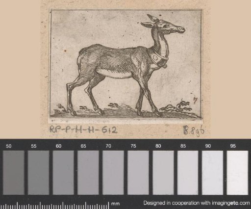 Standing stag