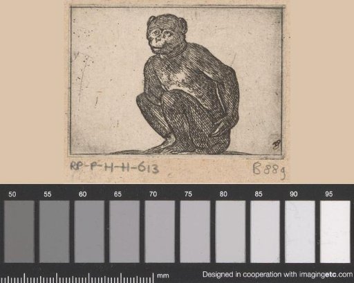 Sitting monkey