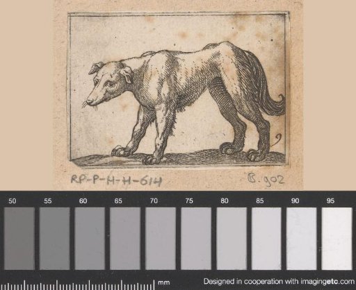 Standing dog turned to the left