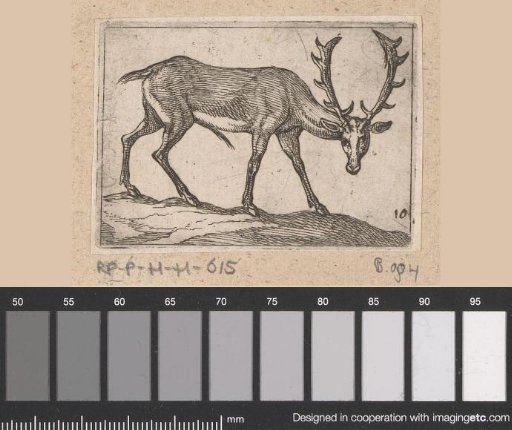 Standing stag
