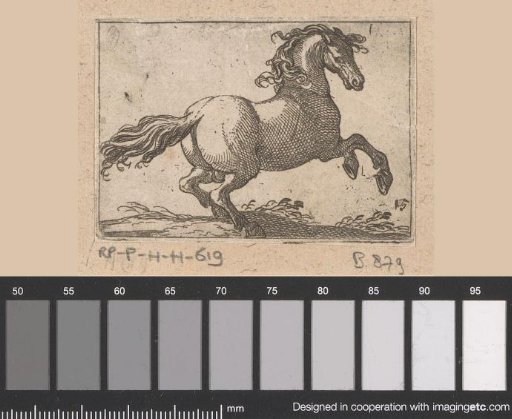 Rearing horse turned to the right