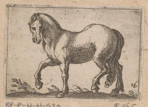 Horse walking to the left