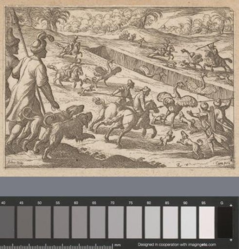 Hunters hunting ostriches in a pit