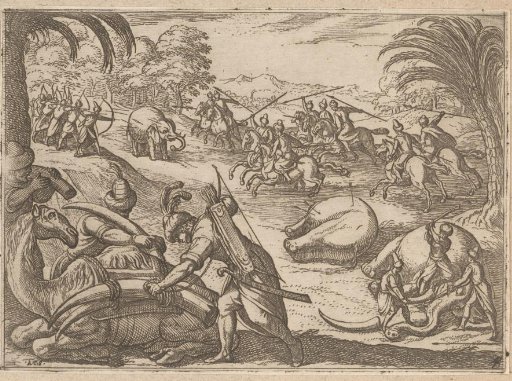 Hunt on elephants