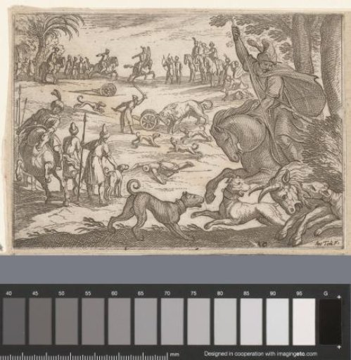 Hunt on wild bulls