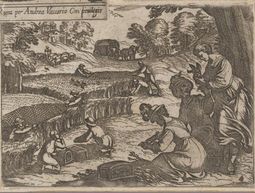 Hunters catching small birds in the tall grass