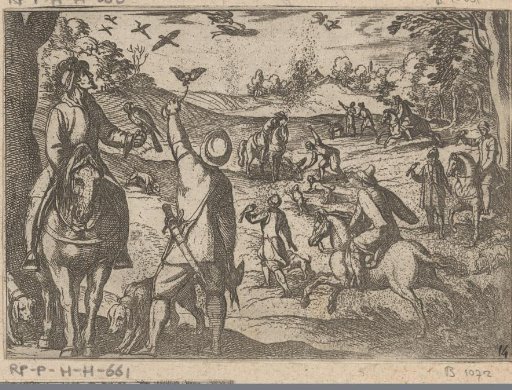 Falconry