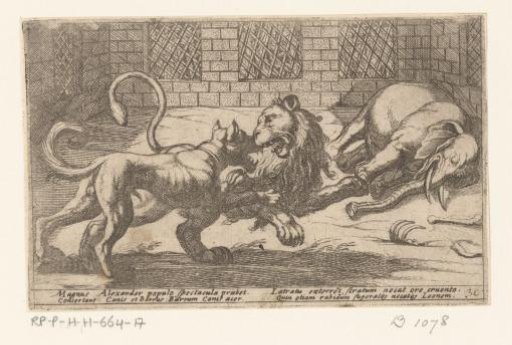 A dog, a lion and an elephant in a cage