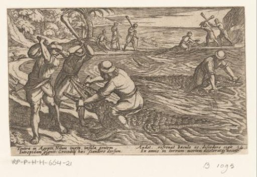 Hunters catching and killing crocodiles