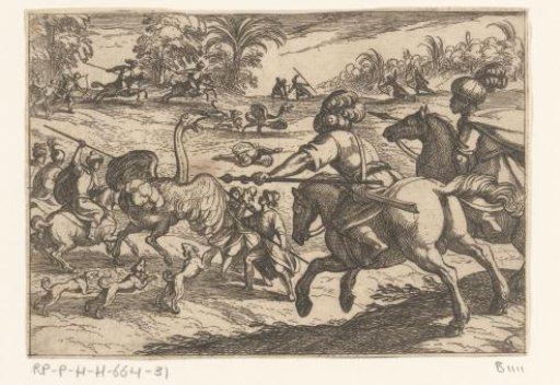 Hunt on ostriches