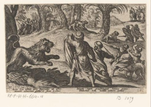 Hunt on lions