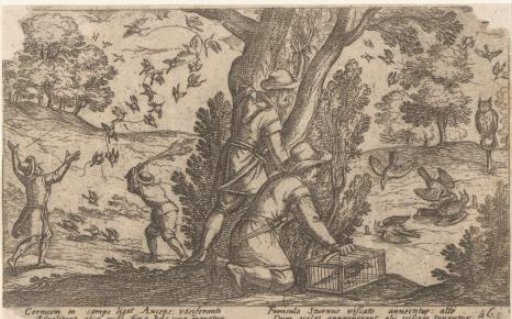 Hunters catching birds