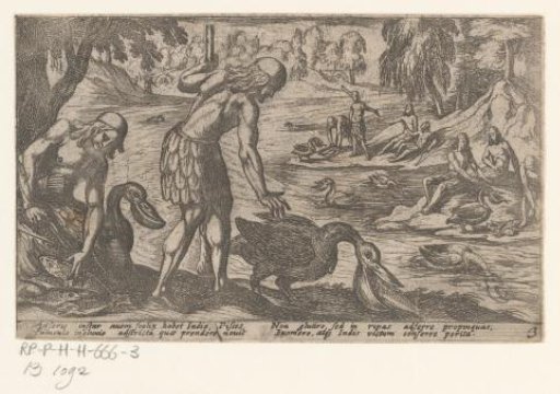 Hunters Using Pelicans to Catch Fish