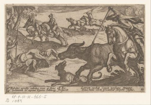 Hunting of Wild Oxen