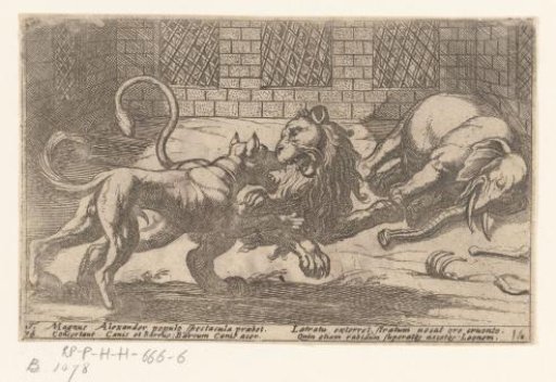 Dog, Lion and Elephant in a Cage