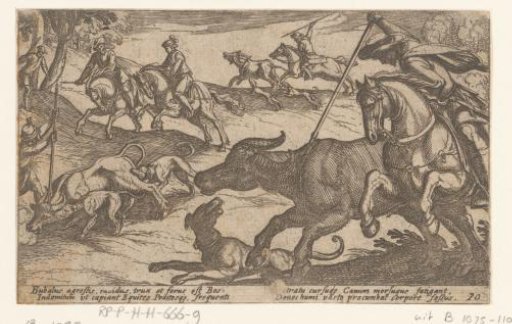 Hunting of Wild Oxen