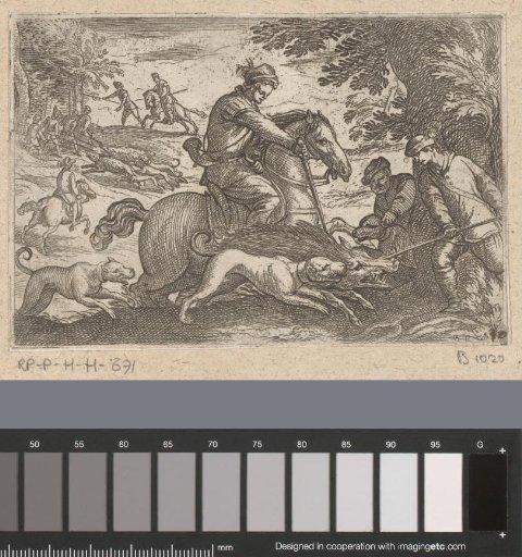 Men and dogs killing a wild boar