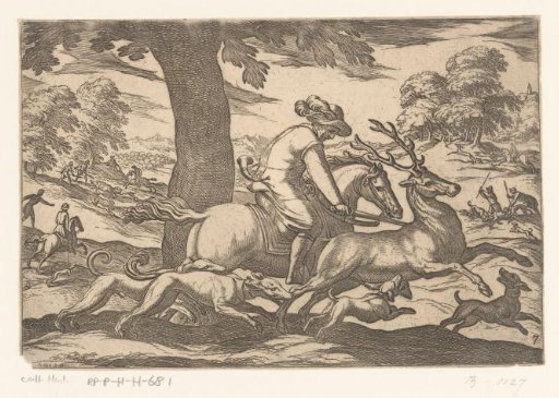 Hunting of stags