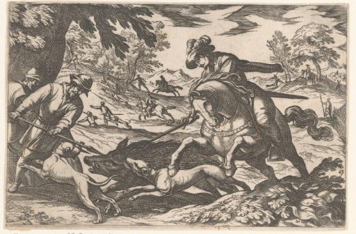 Hunting of wild boars