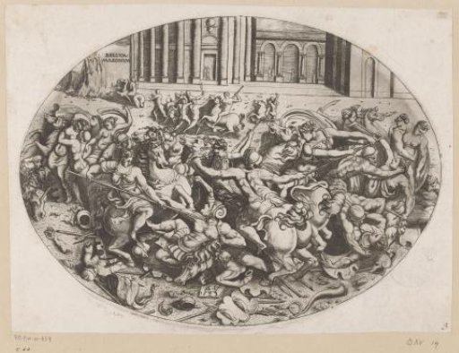 The Battle of the Amazons