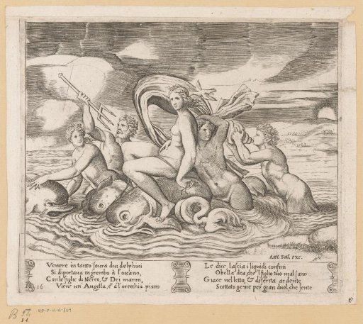 Venus Receives News from a Bird